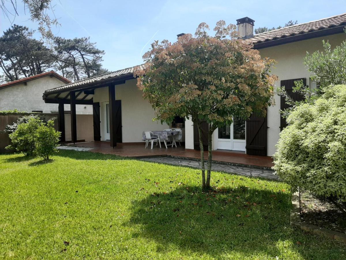 Maison 4 Chambres Avec Jardin Clos, Proche Plage Et Centre, A Vieux-Boucau - Fr-1-239-964 Exteriör bild